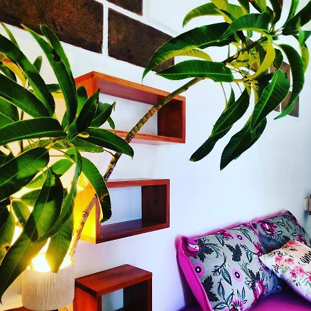 Anacardium Hotel Canoa Quebrada Ngoại thất bức ảnh