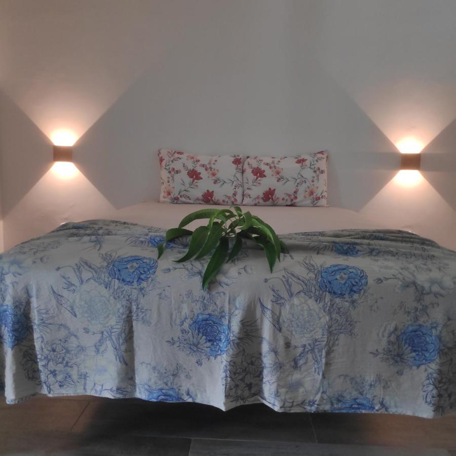 Anacardium Hotel Canoa Quebrada Ngoại thất bức ảnh